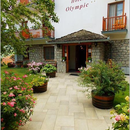 Hotel Olympic Metsovo Ngoại thất bức ảnh