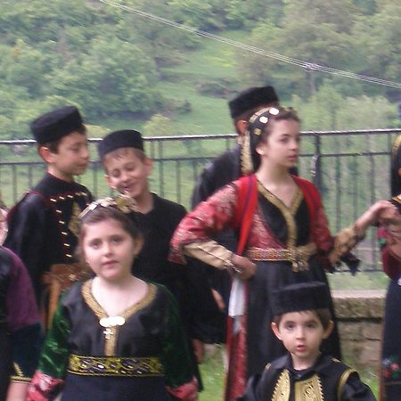 Hotel Olympic Metsovo Ngoại thất bức ảnh