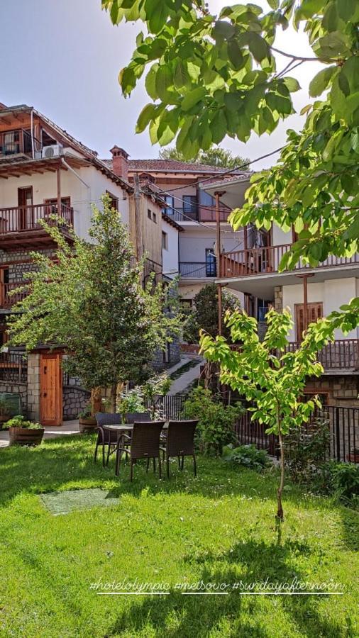 Hotel Olympic Metsovo Ngoại thất bức ảnh
