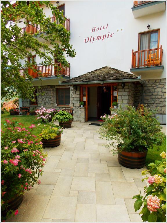 Hotel Olympic Metsovo Ngoại thất bức ảnh
