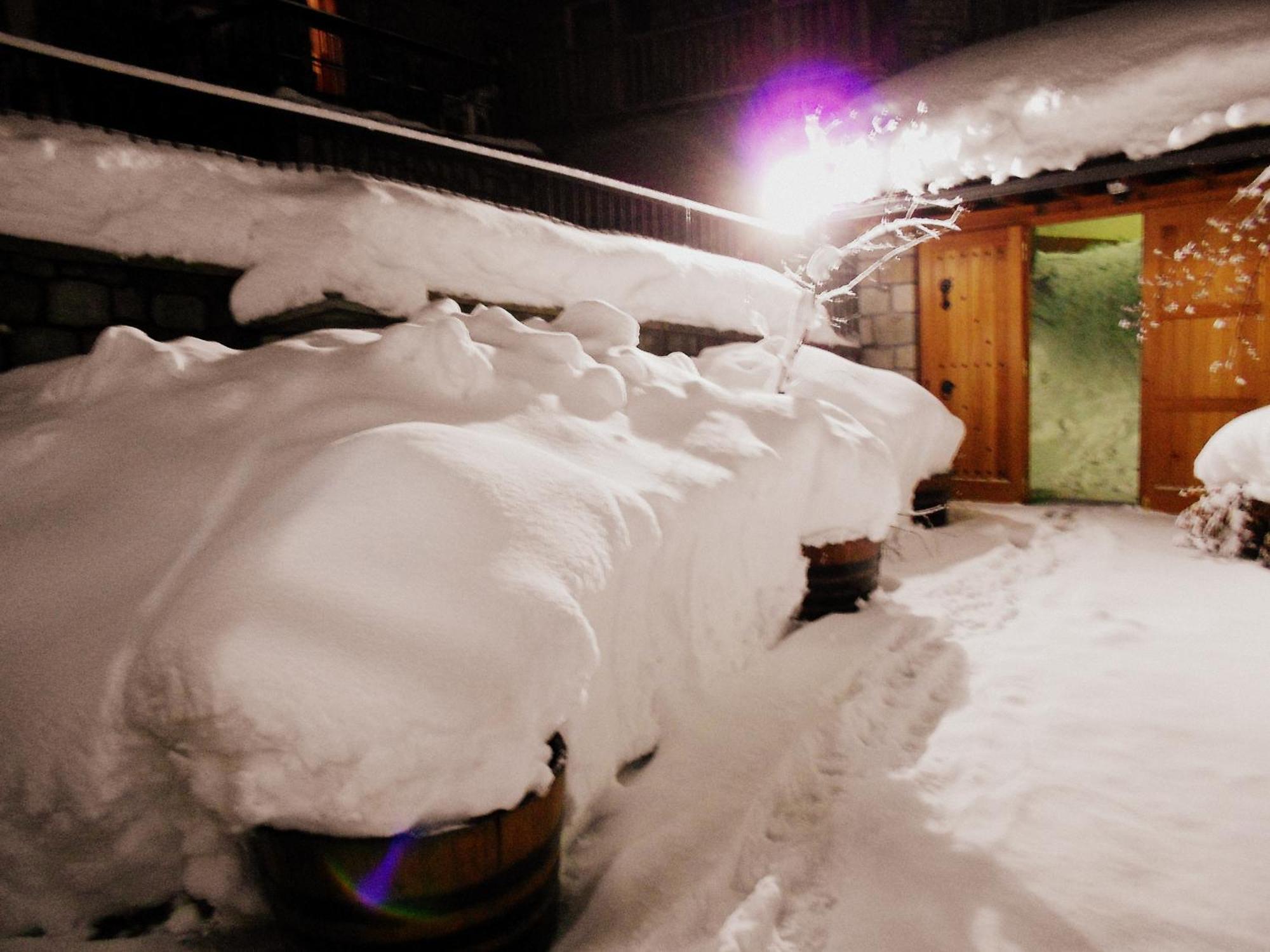 Hotel Olympic Metsovo Ngoại thất bức ảnh