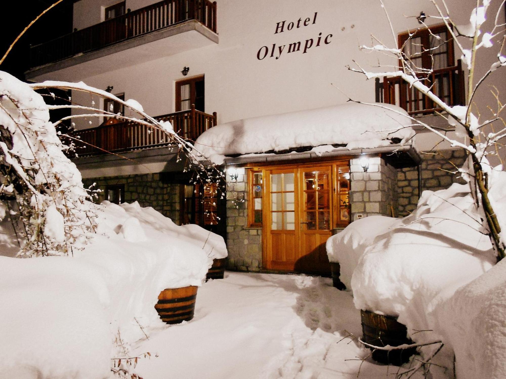 Hotel Olympic Metsovo Ngoại thất bức ảnh