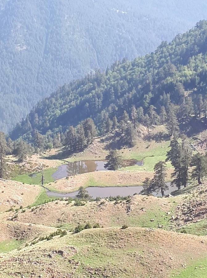 Hotel Olympic Metsovo Ngoại thất bức ảnh